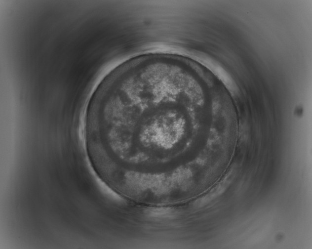 X0000103951247200809261741