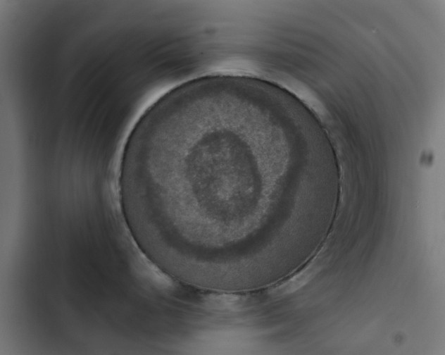 X0000103951248200809261741