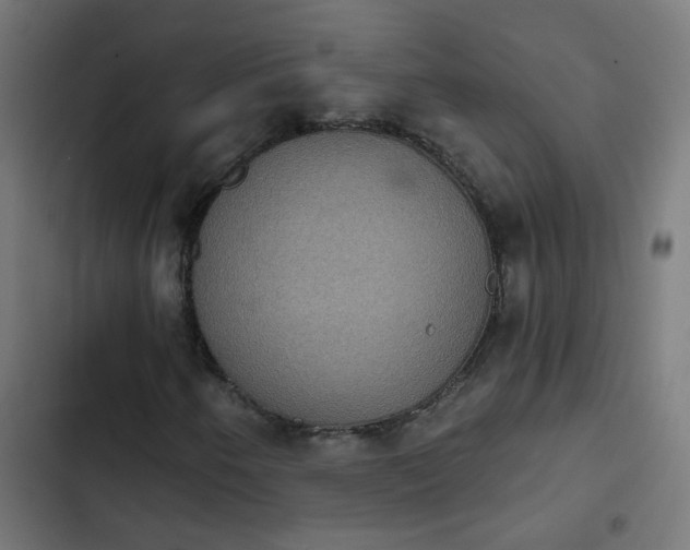 X0000103951250200809261740