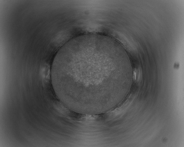 X0000103951251200809261740