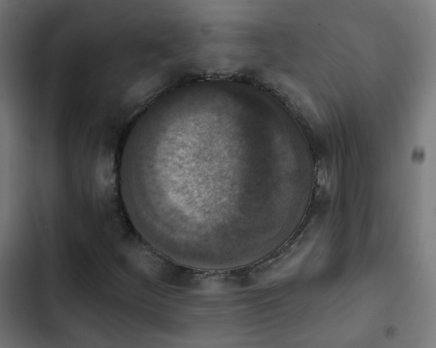 X0000103951252200809261740