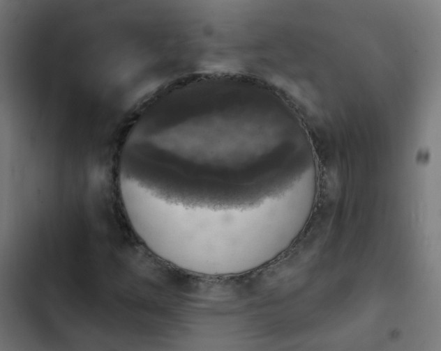 X0000103951254200809261740