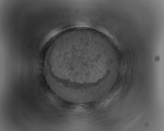 X0000103951255200809261740