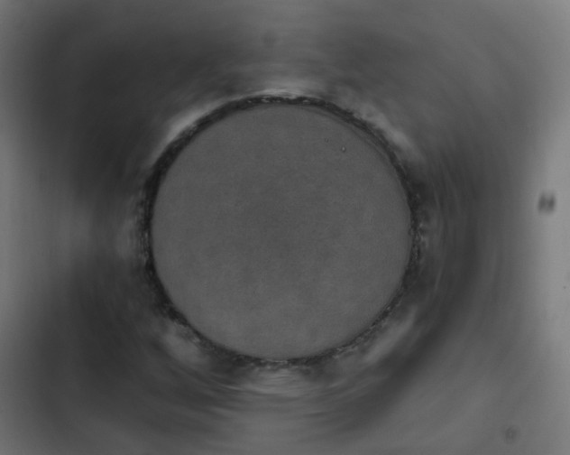 X0000103951256200809261740