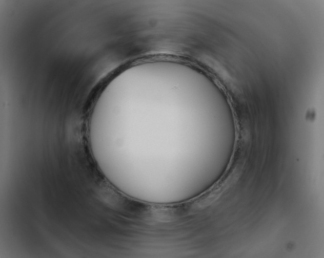 X0000103951258200809261740