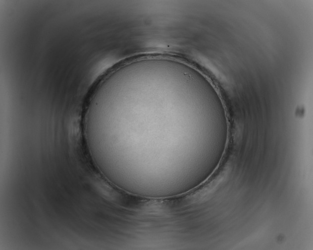 X0000103951259200809261740