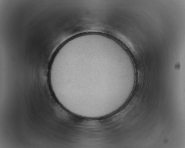 X0000103951260200809261740