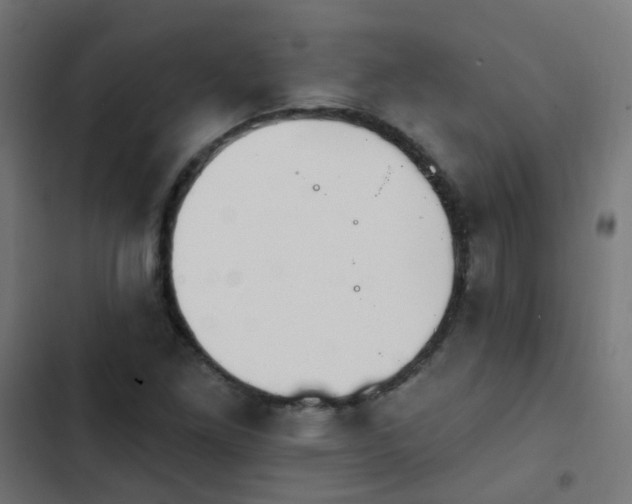 X0000103951261200809261740