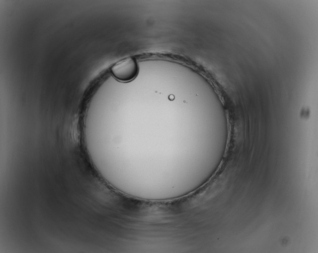 X0000103951262200809261740