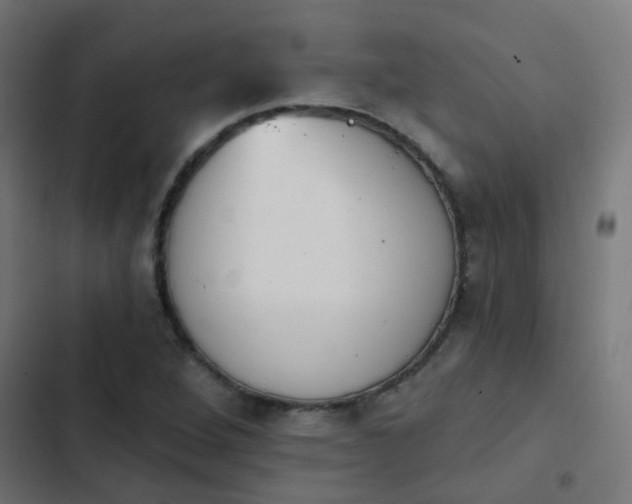 X0000103951264200809261740