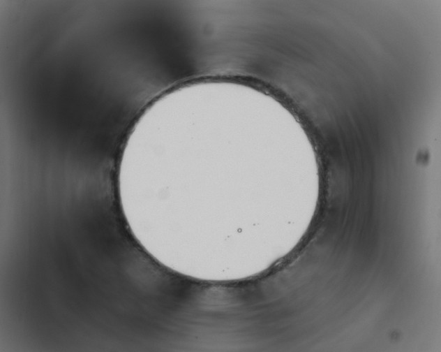 X0000103951265200809261740