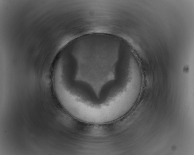X0000103951266200809261740