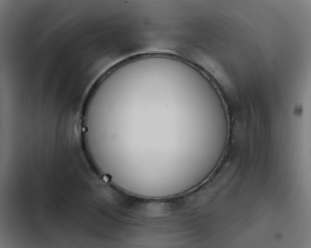 X0000103951268200809261740