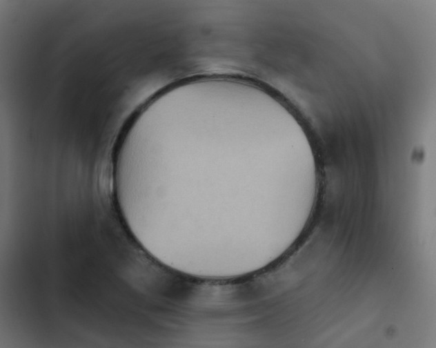 X0000103951269200809261740