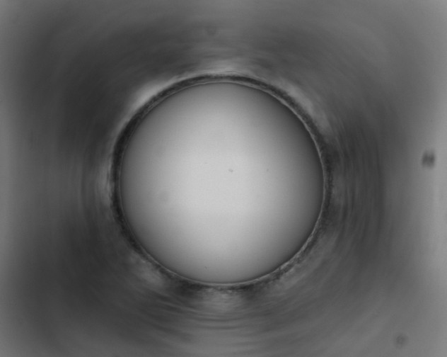 X0000103951270200809261740