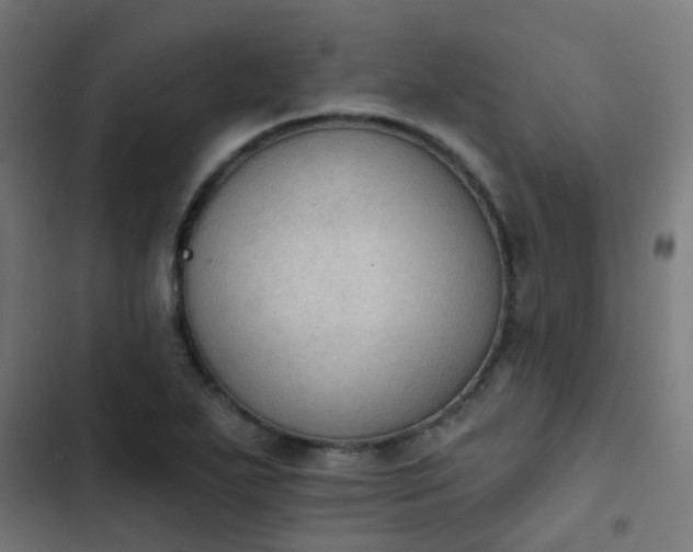 X0000103951271200809261740