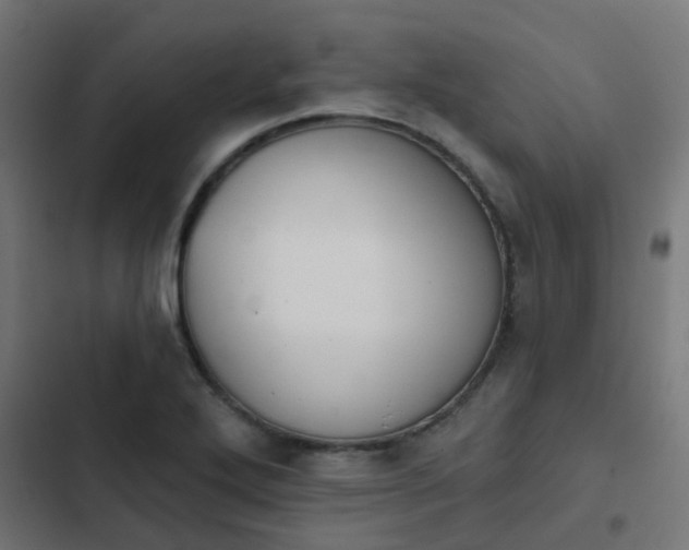 X0000103951272200809261740