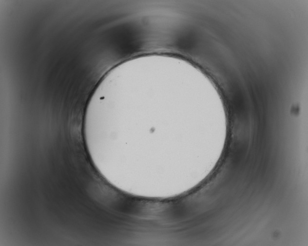 X0000103951273200809261740
