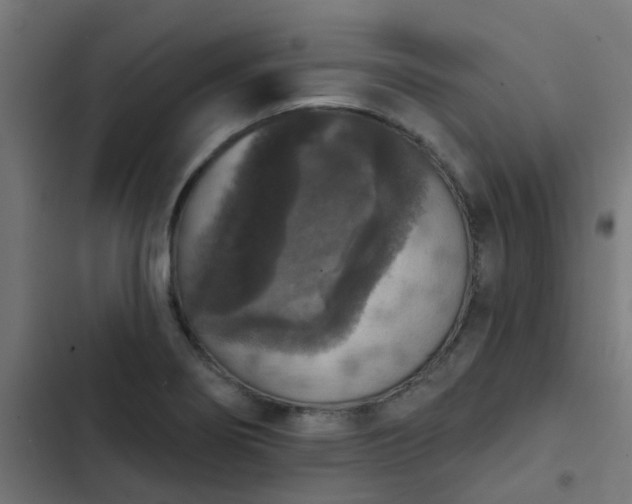 X0000103951274200809261740