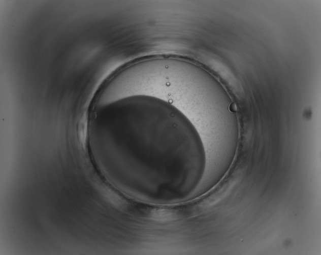 X0000103951275200809261740