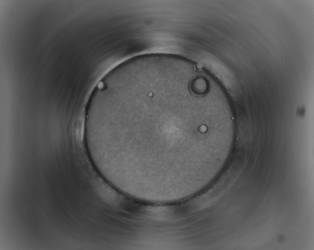 X0000103951276200809261740