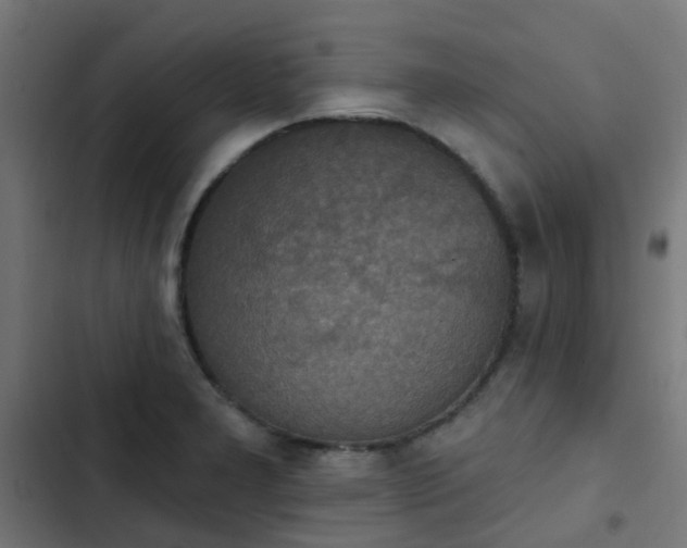 X0000103951277200809261740