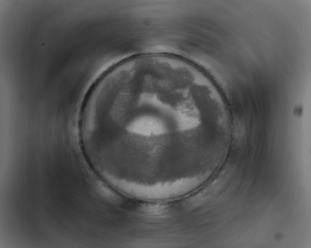 X0000103951278200809261740