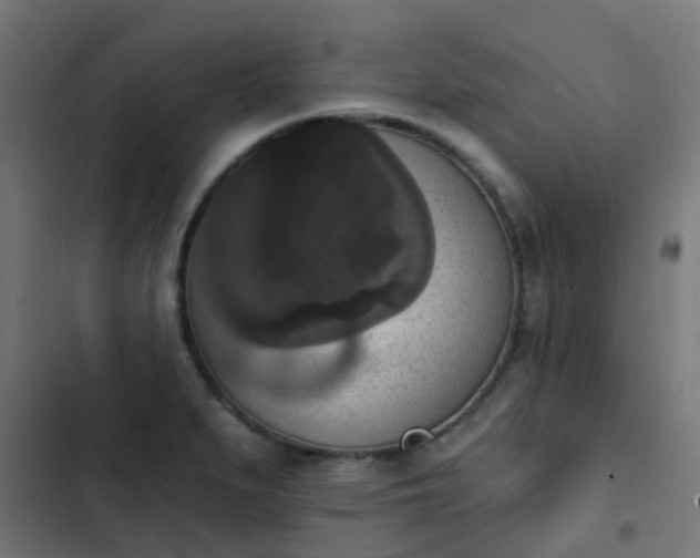 X0000103951279200809261740