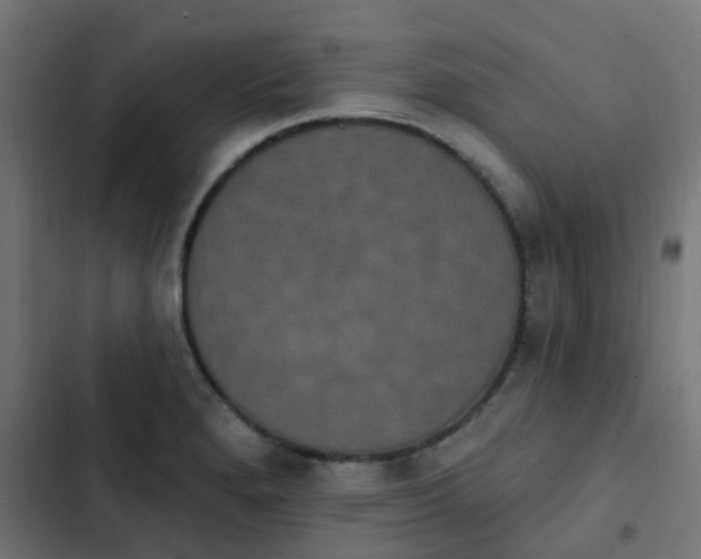 X0000103951280200809261740