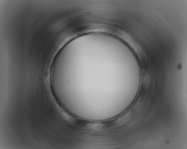 X0000103951282200809261740
