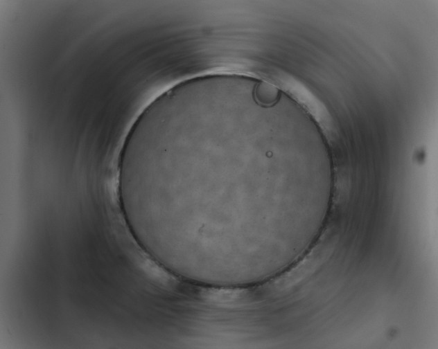 X0000103951284200809261740