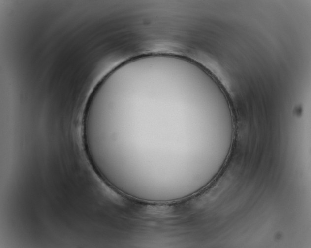 X0000103951285200809261740