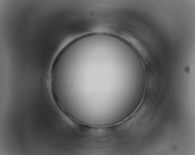 X0000103951286200809261740