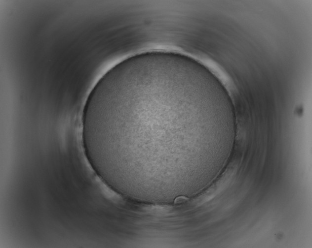 X0000103951287200809261740