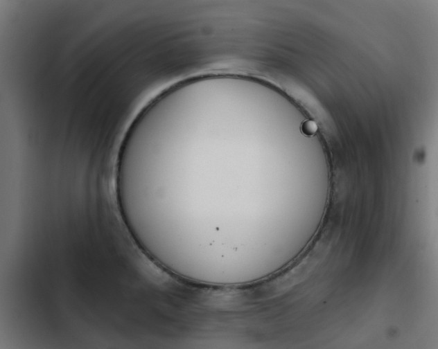 X0000103951288200809261740