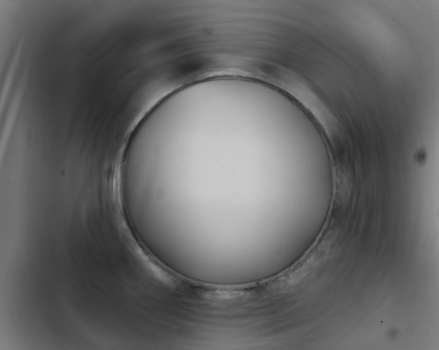 X0000103951290200809261739