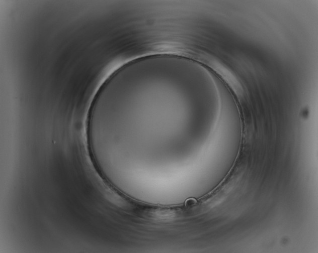 X0000103951291200809261739