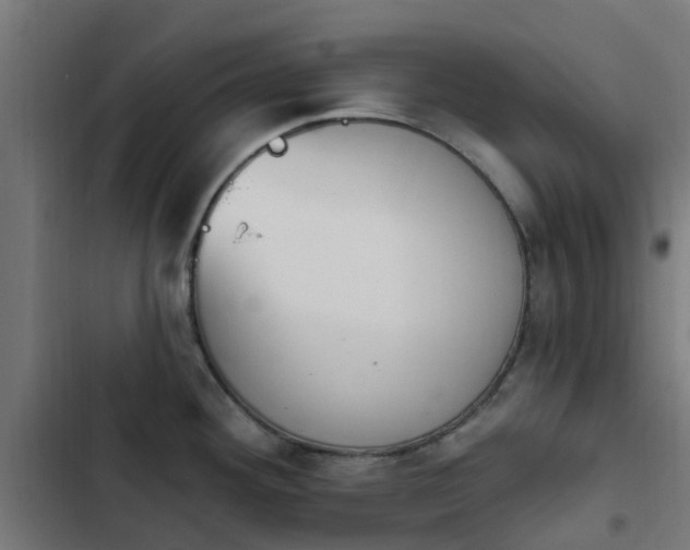 X0000103951292200809261739