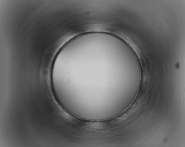 X0000103951293200809261739