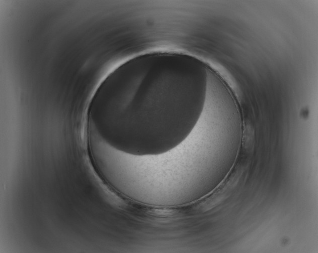 X0000103951295200809261739