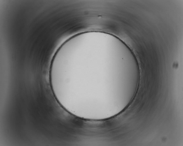 X0000103951296200809261739