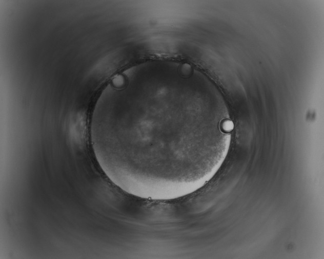X0000103951298200809261739