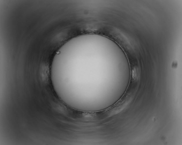 X0000103951299200809261739