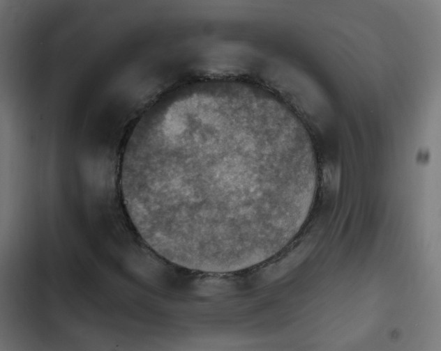 X0000103951300200809261739
