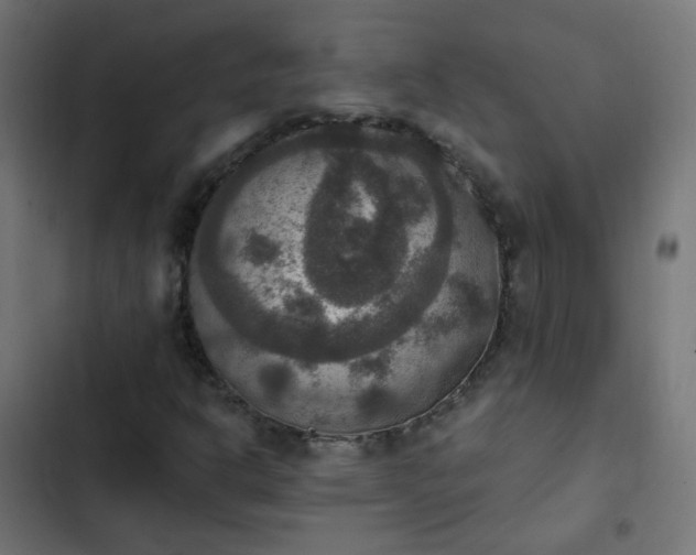 X0000103951302200809261739