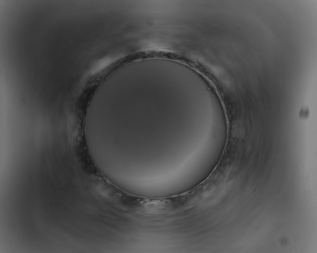 X0000103951303200809261739