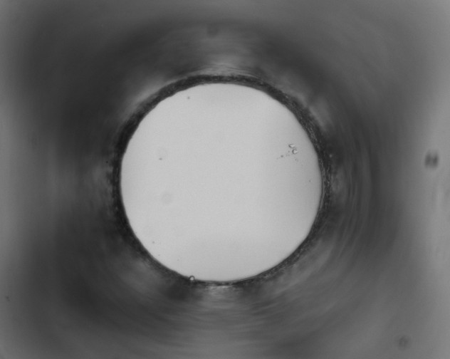 X0000103951304200809261739