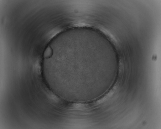 X0000103951305200809261739