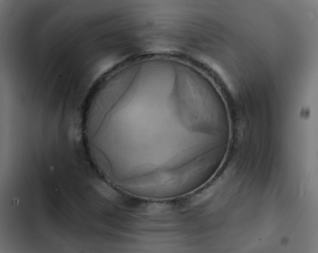 X0000103951306200809261739