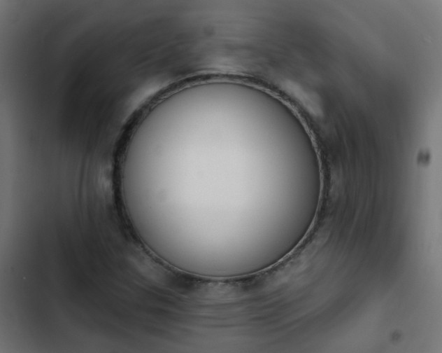 X0000103951307200809261739